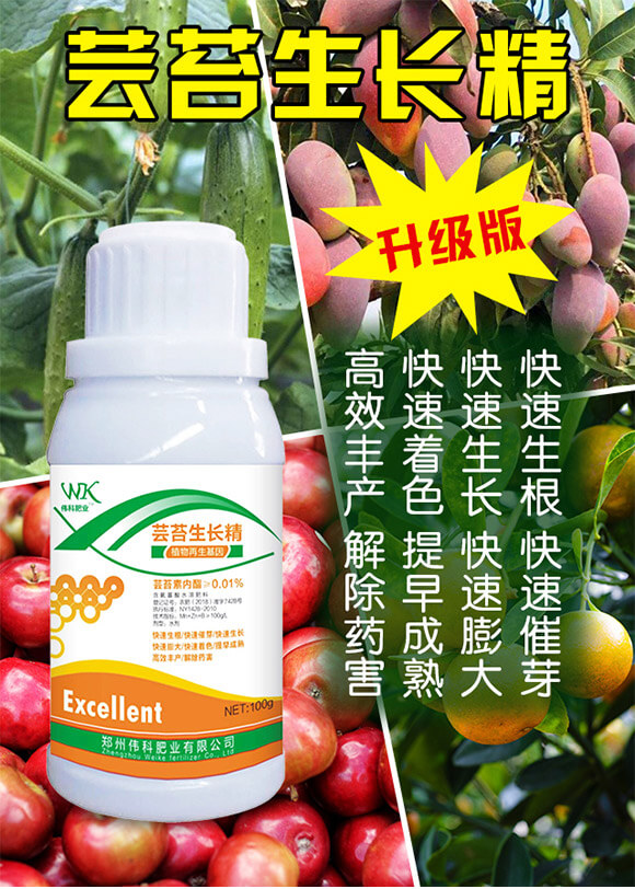 �|̦���L��-���ƷʘI(y��)_01