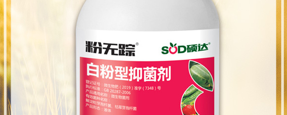 �׷����־���-�۟oۙ-�T�__03