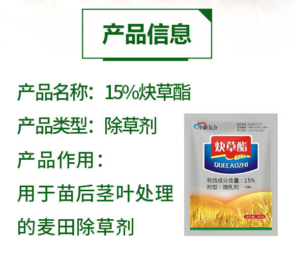 15%Ȳ����-�����Ѻ�_02