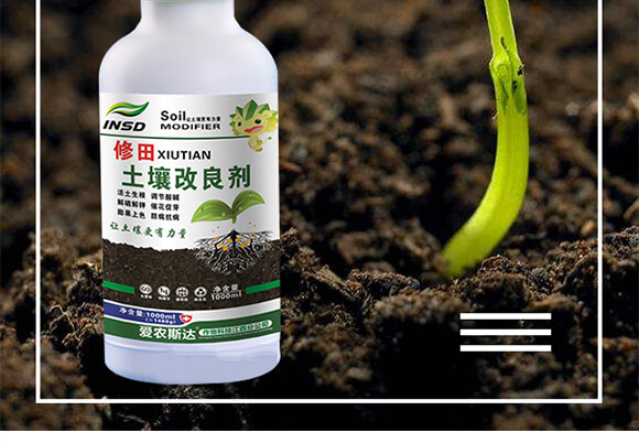 �����ޏ�(f��)��-����-���r(n��ng)˹�_(d��)_02