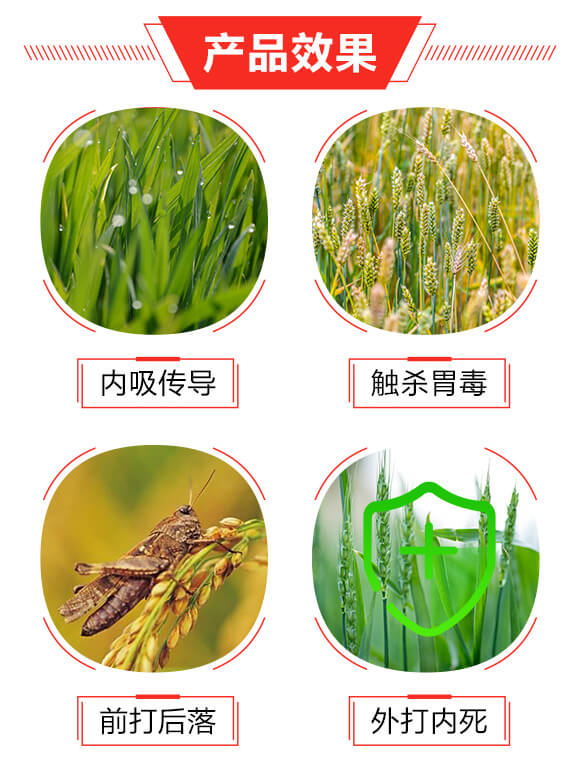 20%溴氰·吡蟲啉(200ml)-巧喜-富利達_03