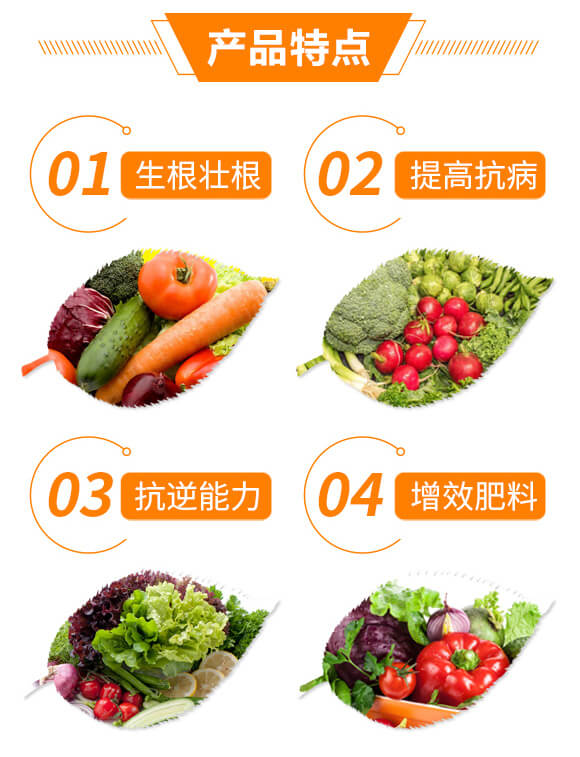 �̿��}�A����������-�w���G��_03