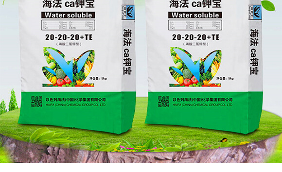 ����Ca⛌�20-20-20+TE��5kg��-����_02