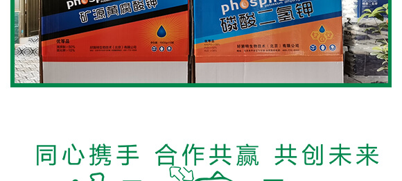 �VԴ�S�����-��ʩؐ��-��ʩ��_14