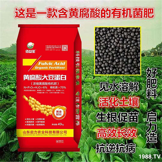 ��s�S�����ЙC(j��)��-�S����󶹵���-�����r(n��ng)�I(y��)