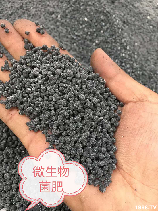 ΢�������