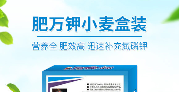 ���f�С�����b_01