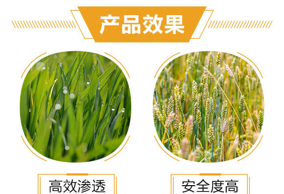 �M�ڌ��Ú�������-���-�����r(n��ng)_05