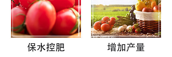 �����S��������ˮ������B(t��i)��+ֲ��I(y��ng)�B(y��ng)�ͣ�_06