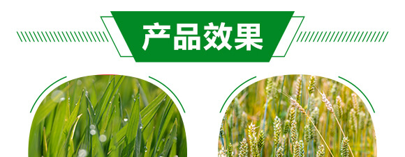 500ml��������ˎ��-������-�t��_05