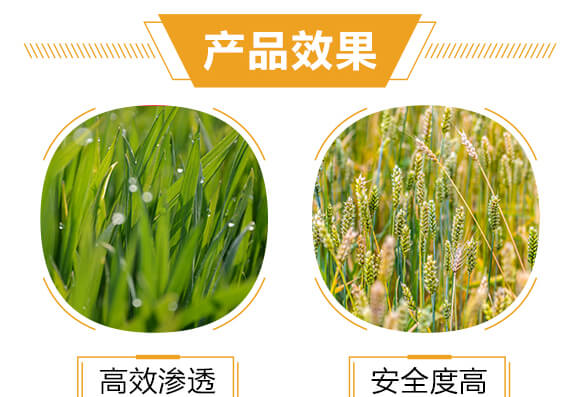 500ml進口專用殺螨助劑-斑狄-科利農(nóng)_05