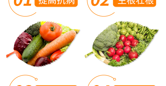 強(qiáng)力·生根王-天農(nóng)康優(yōu)貝-天農(nóng)化工_06