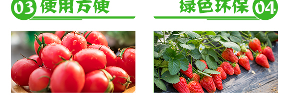 抗性薊馬專用殺蟲(chóng)劑-季戰(zhàn)-聯(lián)沃農(nóng)業(yè)_06