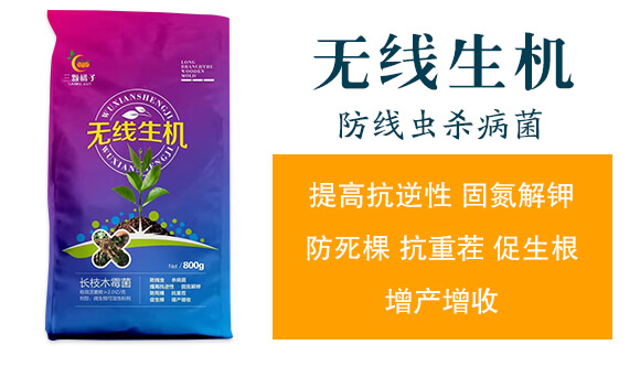 �o(w��)�����C(j��)-���w����_02