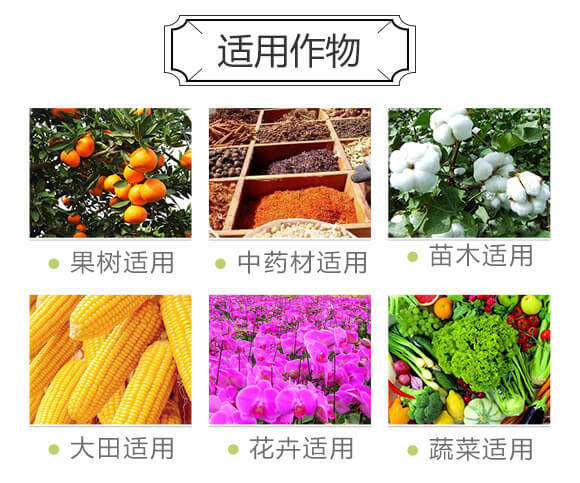 �ЙC(j��)����-���S��(l��)_03