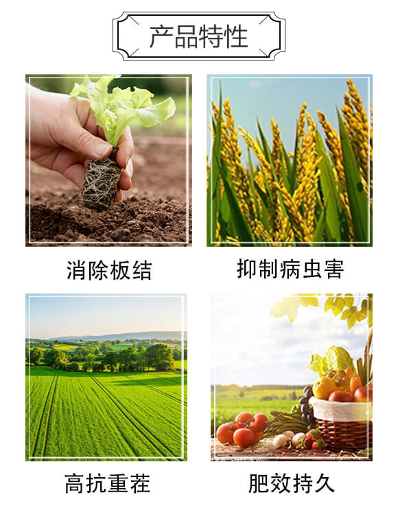 氨基酸微生物菌劑-欣豐樂(lè)_02