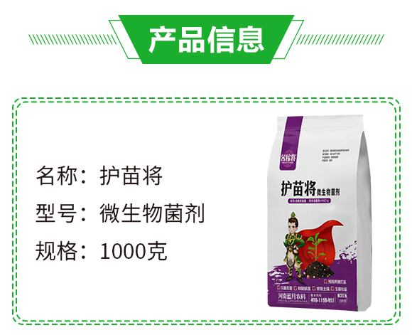 ΢�������-�o(h��)�猢-��ڌ�-�{(l��n)���r(n��ng)��_02