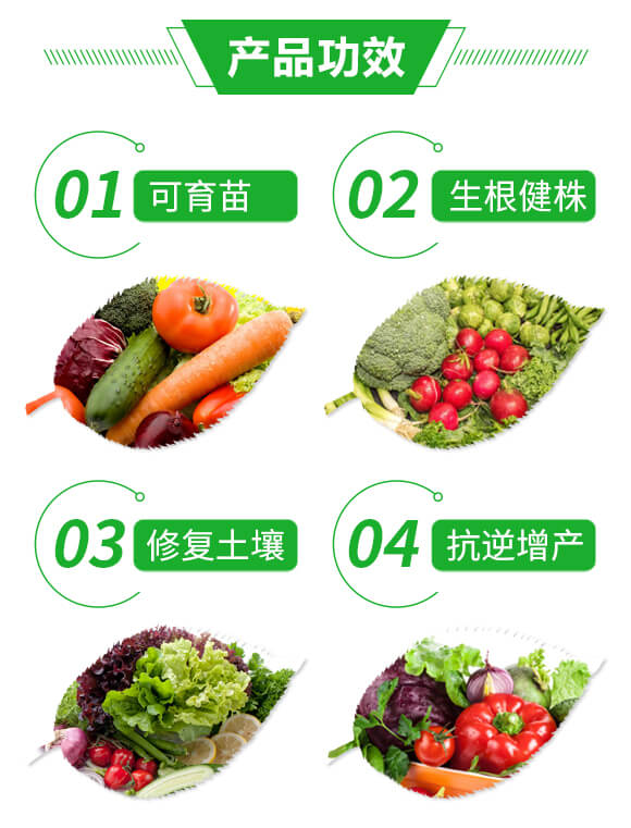 微生物菌劑-豐隆根力旺(腐殖酸型)-億豐隆_03