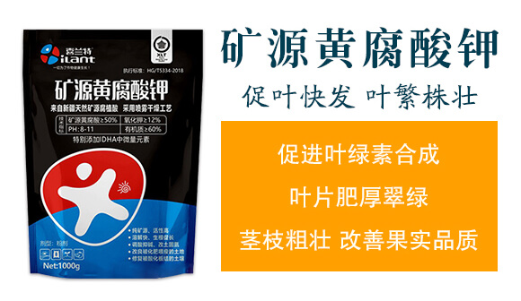 �VԴ�S�����-ϲ�m��_02