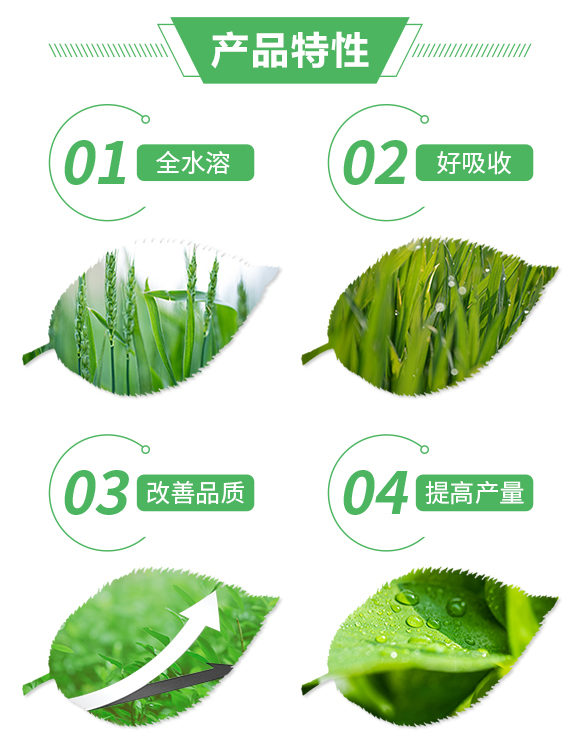 ��(f��)�����18-17-19+6-�����S_02