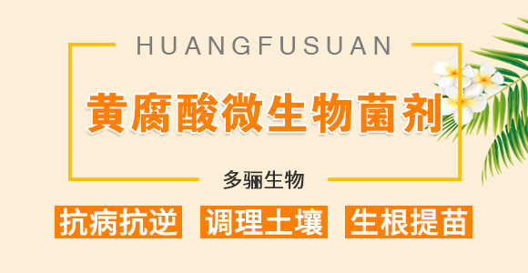 �~���}-���P����_01