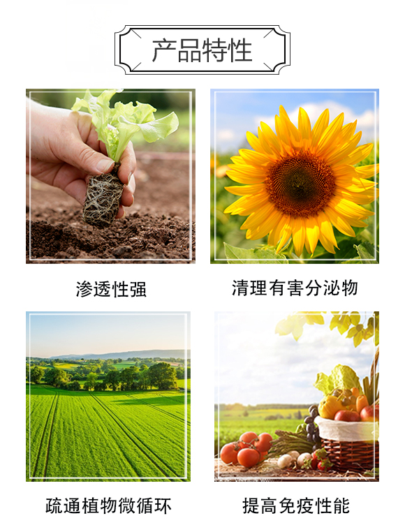 �������ý�-΢�������_03