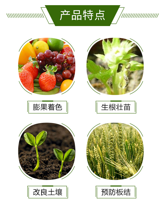 �{ݮ-��»��r_03