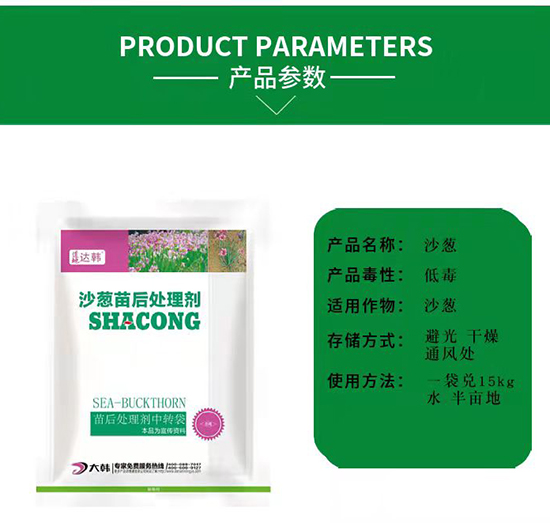 ɳ�[���݄�-ɳ�[���-ɳ�[����-���n2