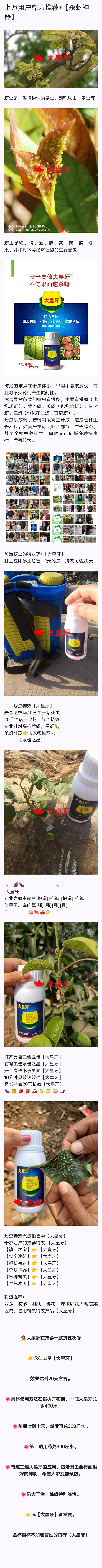 ����� ����֮��4