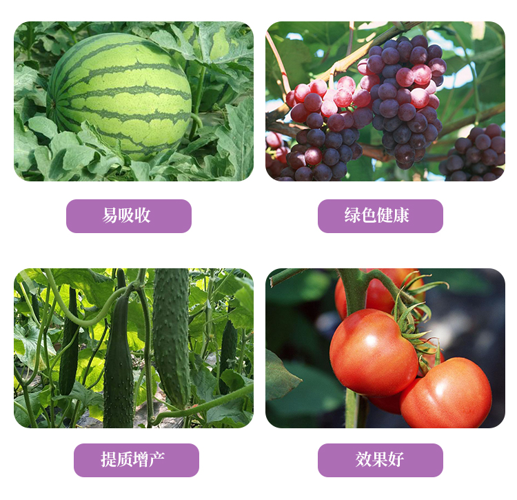 C-_Users_1988_Desktop_�H���{������Ƽ����޹�˾_04