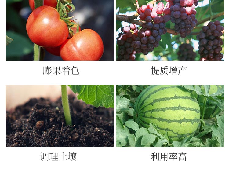 �H���{������Ƽ����޹�˾1_05