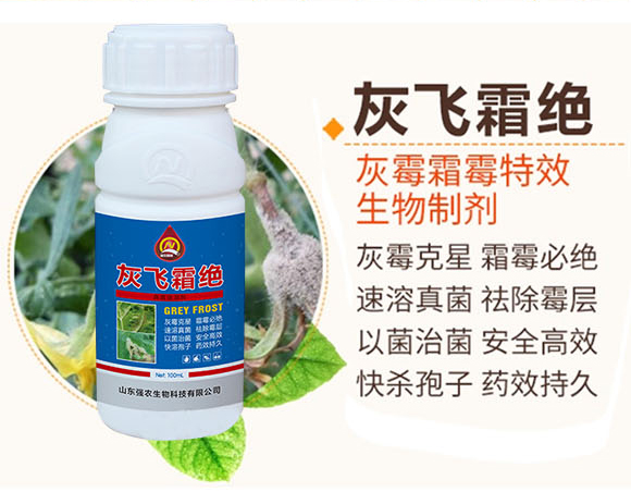 ���w˪�^-���r(n��ng)����_02