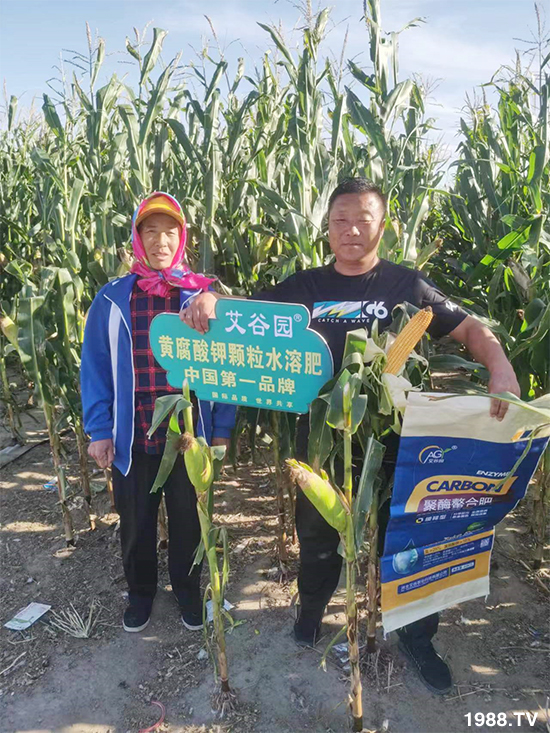 �ӱ������r(n��ng)�I(y��)�Ƽ����޹�˾2