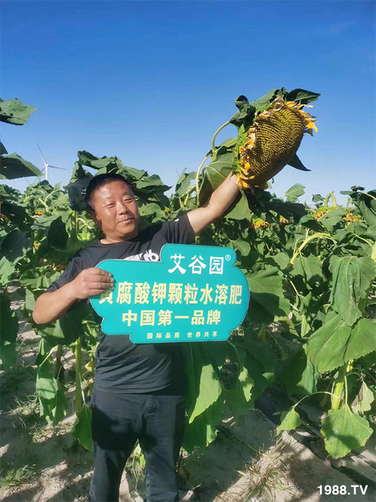 �ӱ������r(n��ng)�I(y��)�Ƽ����޹�˾1