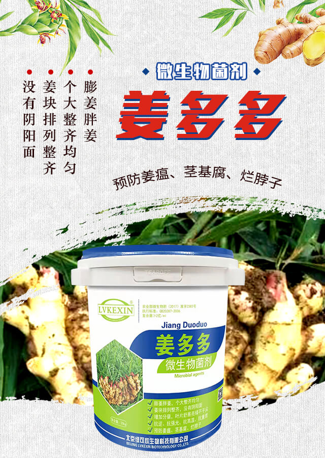 �����-�G����_01