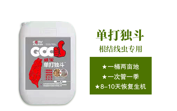 深圳市螢火蟲化學(xué)有限公司-單打獨(dú)斗_02