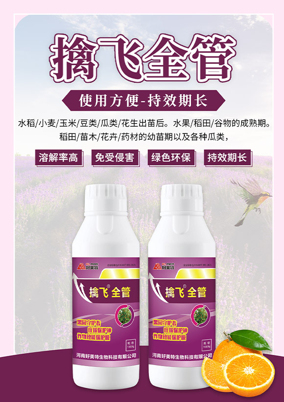 ���Ϻ���������Ƽ����޹�˾788196_01