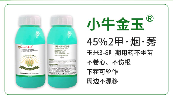 �ӱ������r(n��ng)�I(y��)�Ƽ����޹�˾910058_02