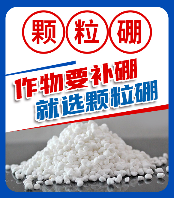 ɽ�|��������Ƽ����޹�˾-�֙C(j��)վ(���壩