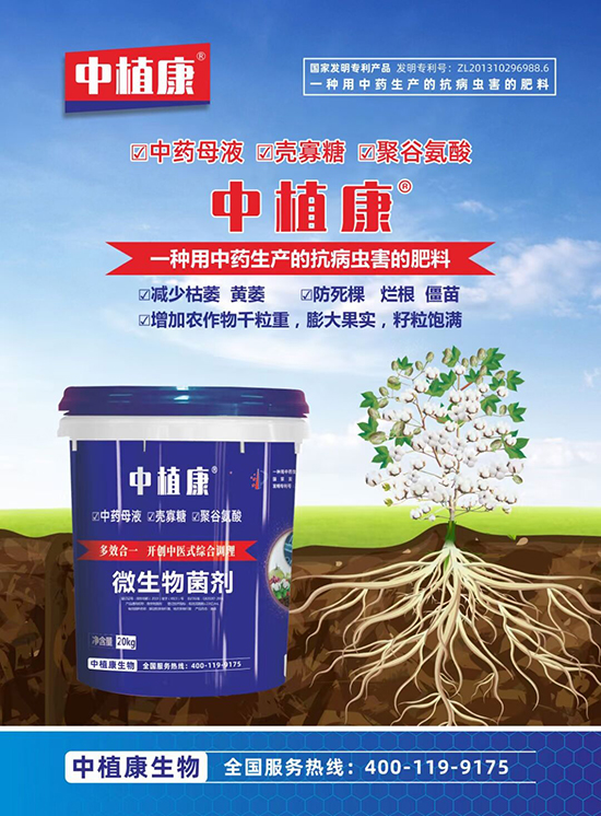 ΢�������-��ֲ��