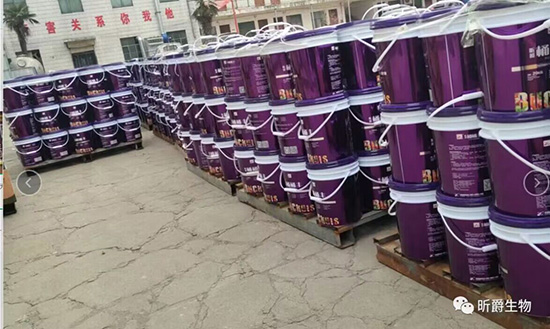 QQ�DƬ20230831174404