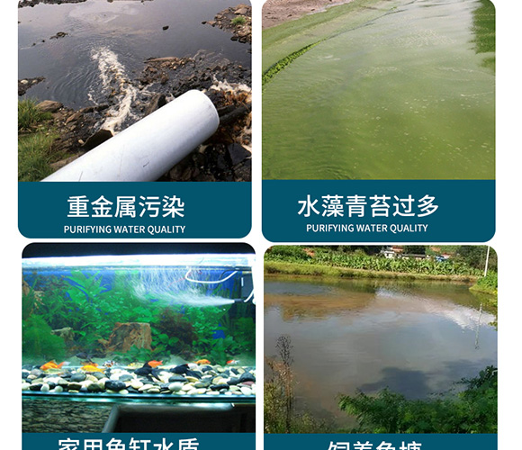 ���ɵ׸ă�ˮ��-��������_04