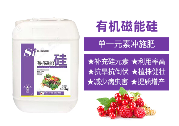 꿾����F(tu��n)_02