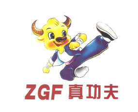 �����湦�򻯷����޹�˾