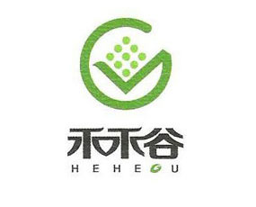 �������̺̹��r(n��ng)�I(y��)�Ƽ��l(f��)չ���޹�˾