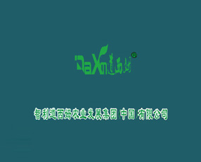 ��������ķ�r(n��ng)�I(y��)�l(f��)չ���F���޹�˾