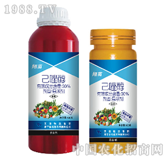 30%����-����-���{