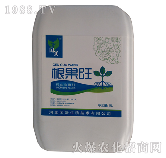 ΢�������-������-�c��