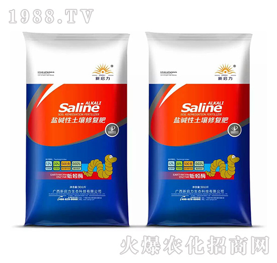 ���ø�}�A�������ޏ�(f��)��-����