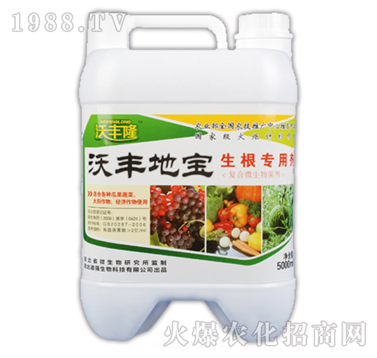 ���S�،����������Ä���-���S¡-��